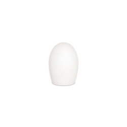 TIP - Replacement Tip for...