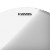 EVANS GENERA RESONANT 10" TT10GR