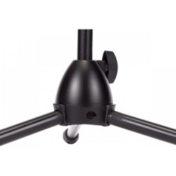 Proel RSM192BK - Asta professionale “nana”, con giraffa telescopica per microfono