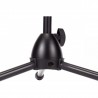 Proel RSM192BK - Asta professionale “nana”, con giraffa telescopica per microfono