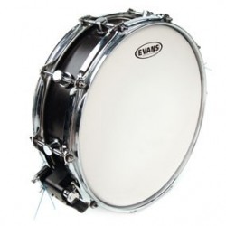 EVANS Power Center Reverse Dot Coated 14" B14G1RD