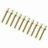 TRC-30W-BR -Vite Tirante d'Oro 30mm con Rondella - Filettatura 7/32" (x10)