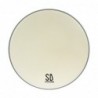 AS13CO - 13" Alverstone 1-ply Coated Drumhead - 10 mil